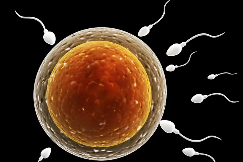 Fertility Massage, Clear Blossom, Tucson, AZ